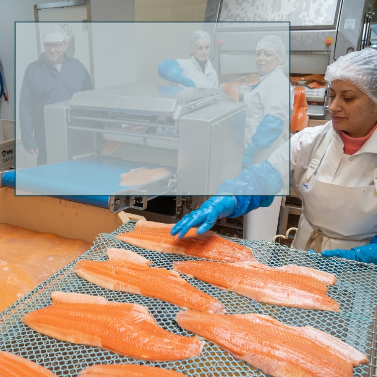 Employees at Norlax processing salmon.