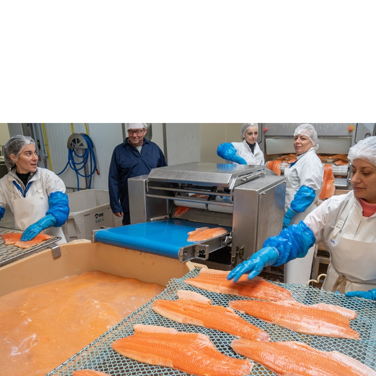Employees at Norlax processing salmon.