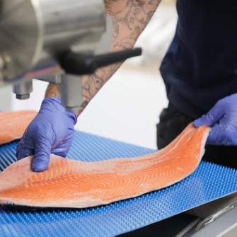 A Norbech fish processing solution processing salmon fillets. .